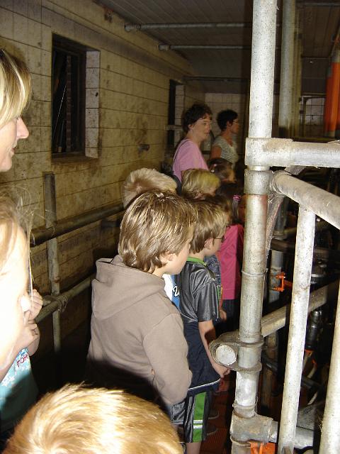 Boerderij_Familie_Remi_01.JPG