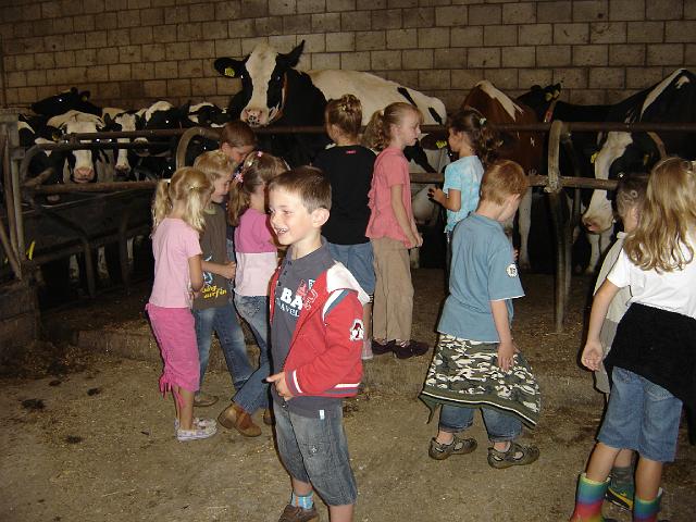 Boerderij_Familie_Remi_07.JPG