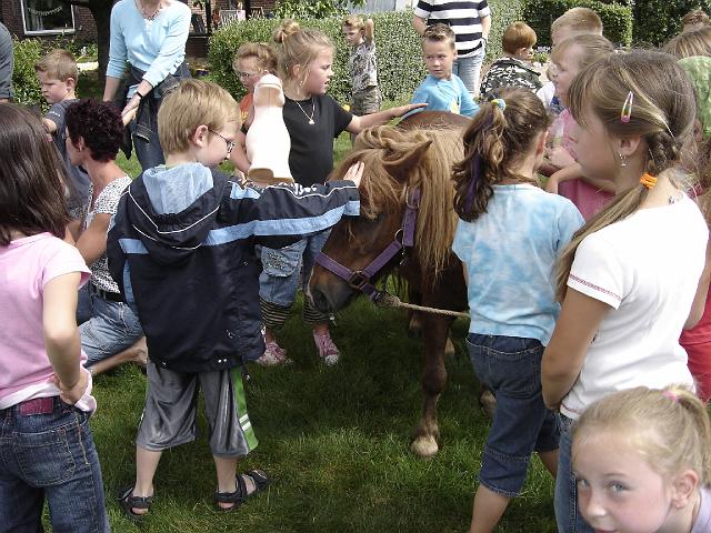 Boerderij_Familie_Remi_27.JPG