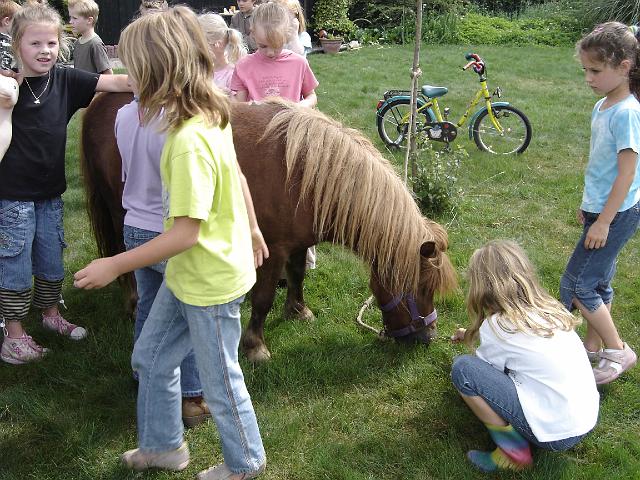 Boerderij_Familie_Remi_28.JPG