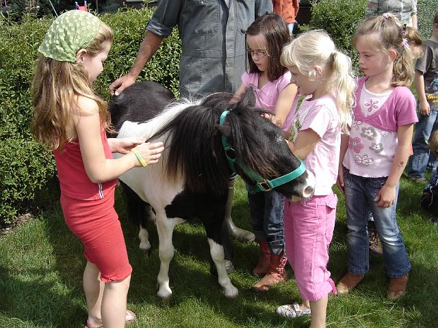 Boerderij_Familie_Remi_29.JPG