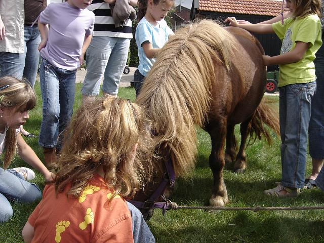 Boerderij_Familie_Remi_30.JPG